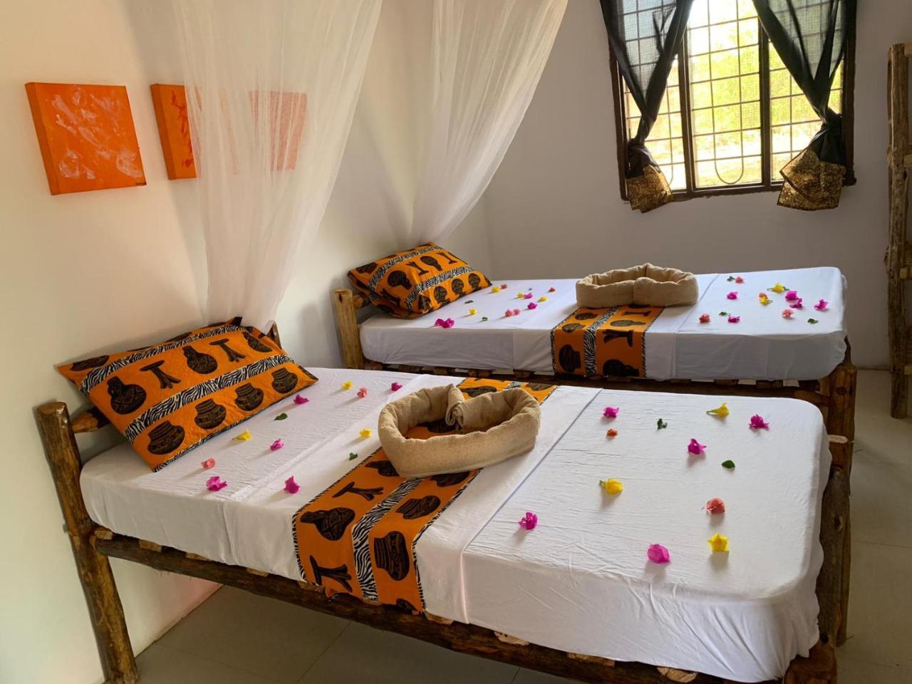 More Africa Guesthouse 파제 외부 사진